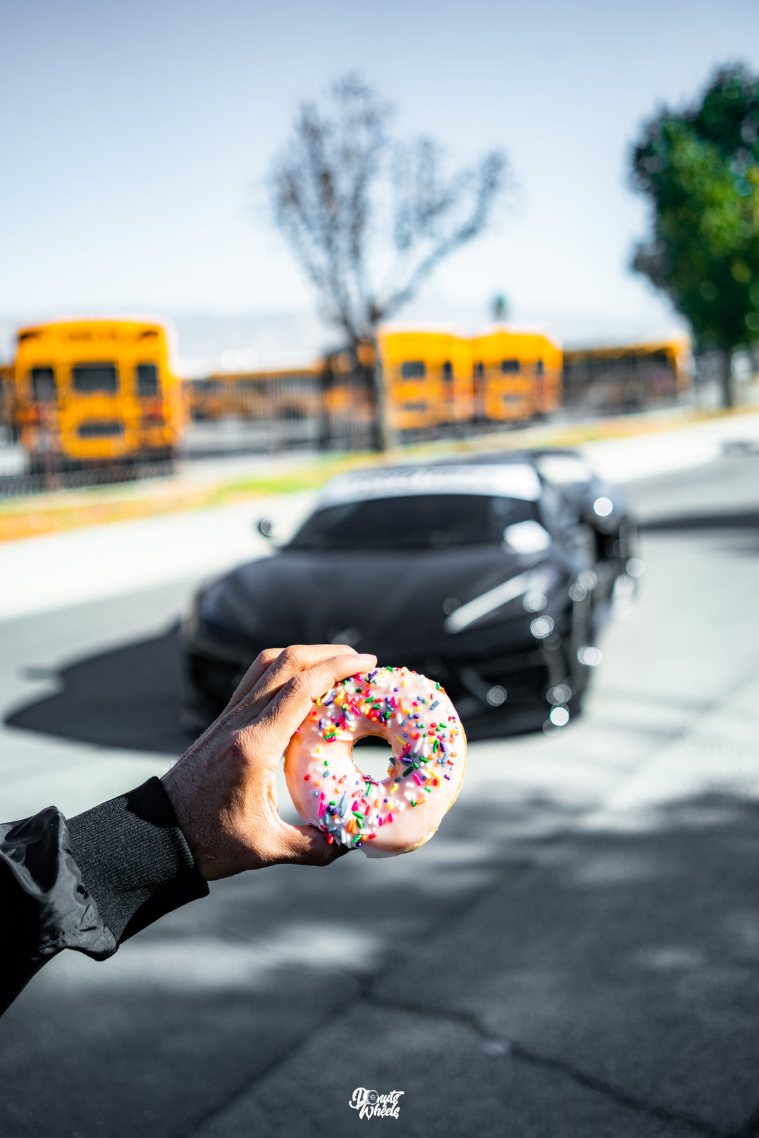 Pandem C8 (world's First)