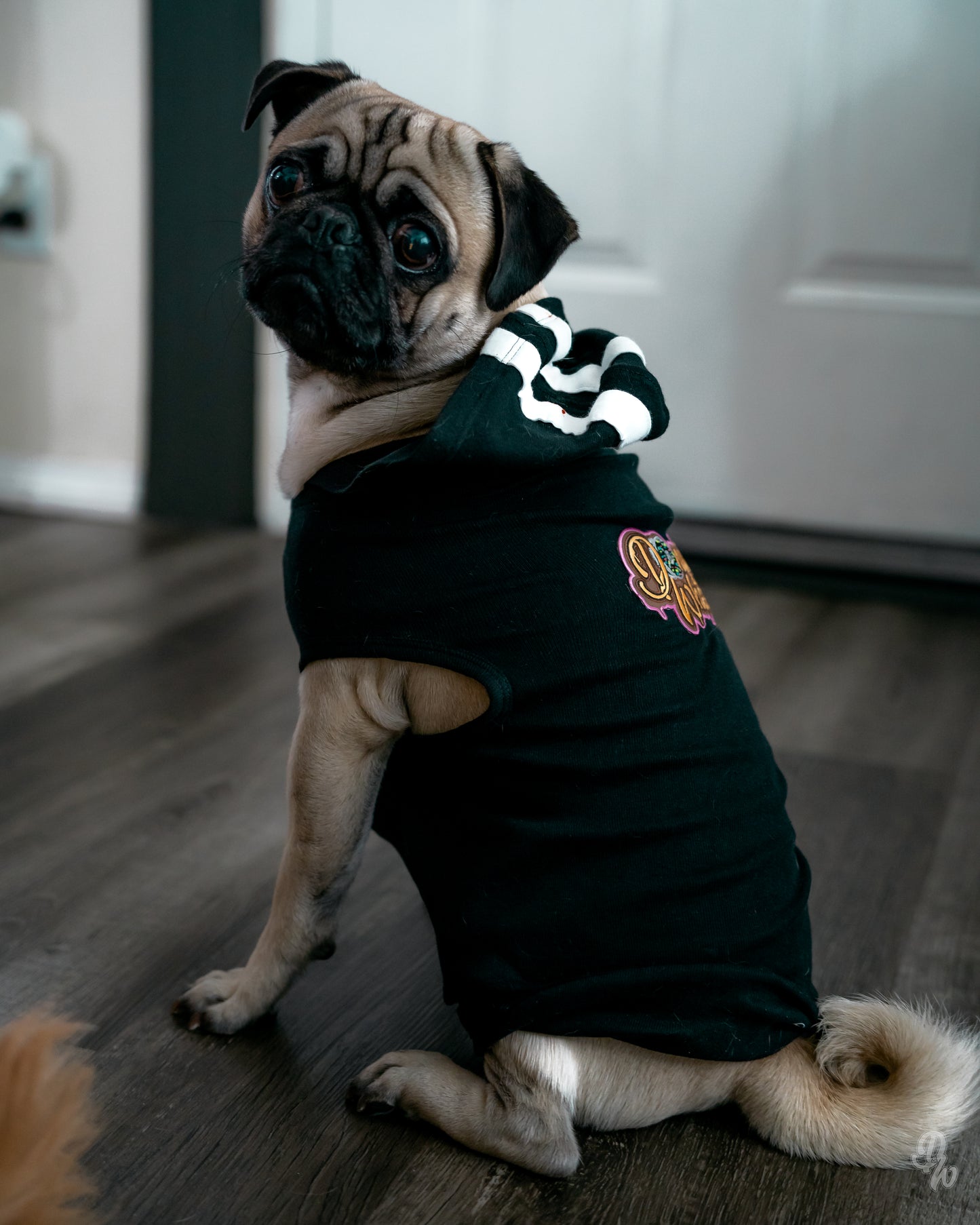 DW Doggie Patch Hoodie